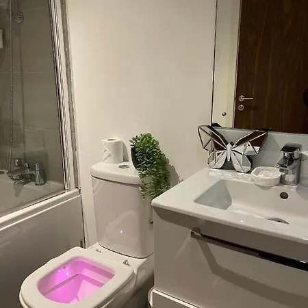 Modern Spacious 1 Bed Flat In Centre With Free Parking, Fast Free Wifi And Netflix Birmingham